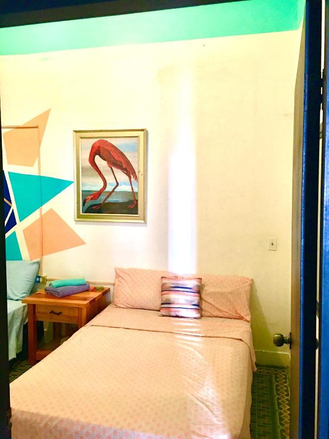 Medusa'S Hostel Aguadilla Bagian luar foto